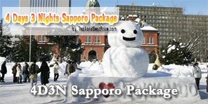 4D3N-Sapporo-pacakge