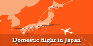 domestic-flight-in-japan