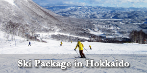 ski-package-hokkaido
