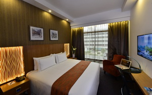 hotel grand central orchard executive king